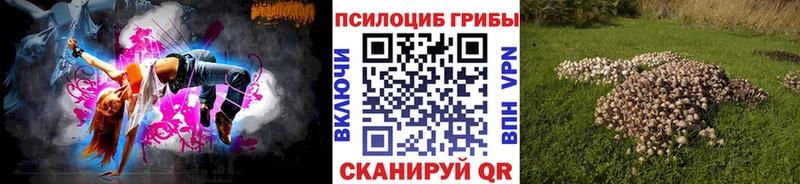 Псилоцибиновые грибы Psilocybe darknet как зайти Новосибирск