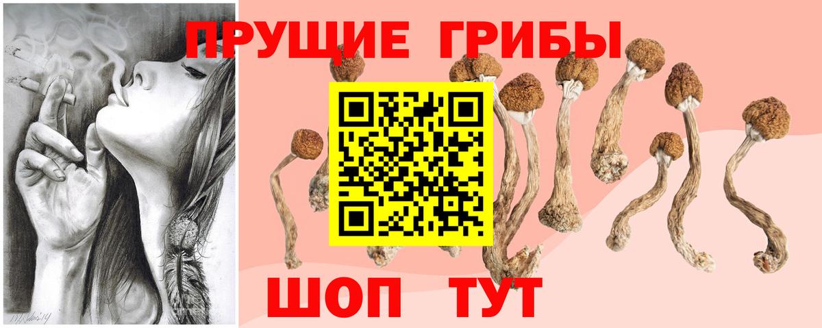 Псилоцибиновые грибы прущие грибы Новосибирск