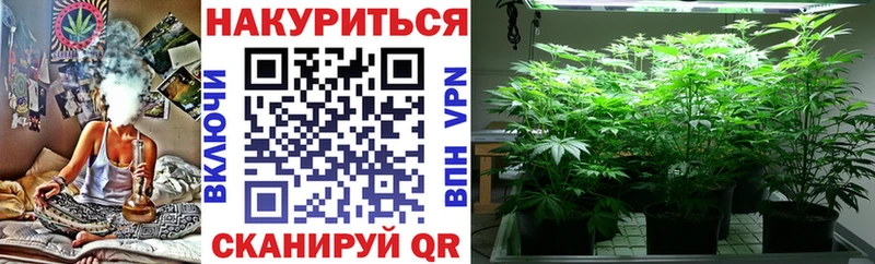где можно купить наркотик  Новосибирск  Марихуана White Widow 